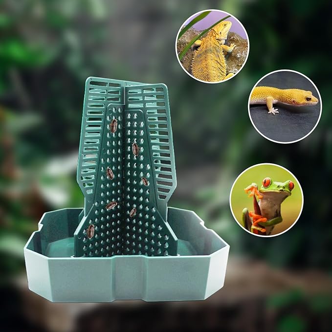 Bearded Dragon Tank Accessories, Lizard Feeder, Reptile Food Cup, Dubia Roaches Organizer with Column for Prey to Climb and Move, Food Bowl for Bearded Dragon, Gecko, Frog