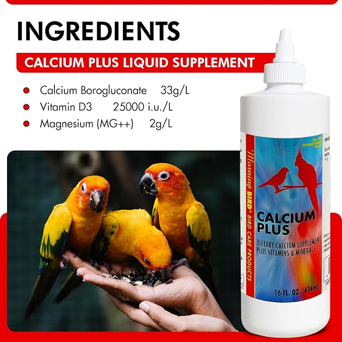 Morning Bird Calcium Plus Liquid for Birds – Bird Vitamins for Strong Eggshells, Healthy Bones, and Baby Bird to Support Growth, Breeding, and Wellness for All Birds 16 Fl Oz