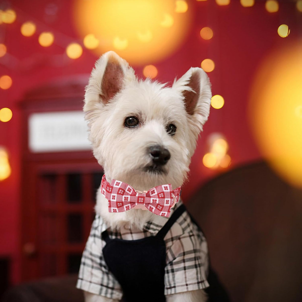 Unique Style Paws Christmas Day Dog Collar with Bow Christmas Red Papercut Cotton Puppy Collars for Small Medium Large Dogs