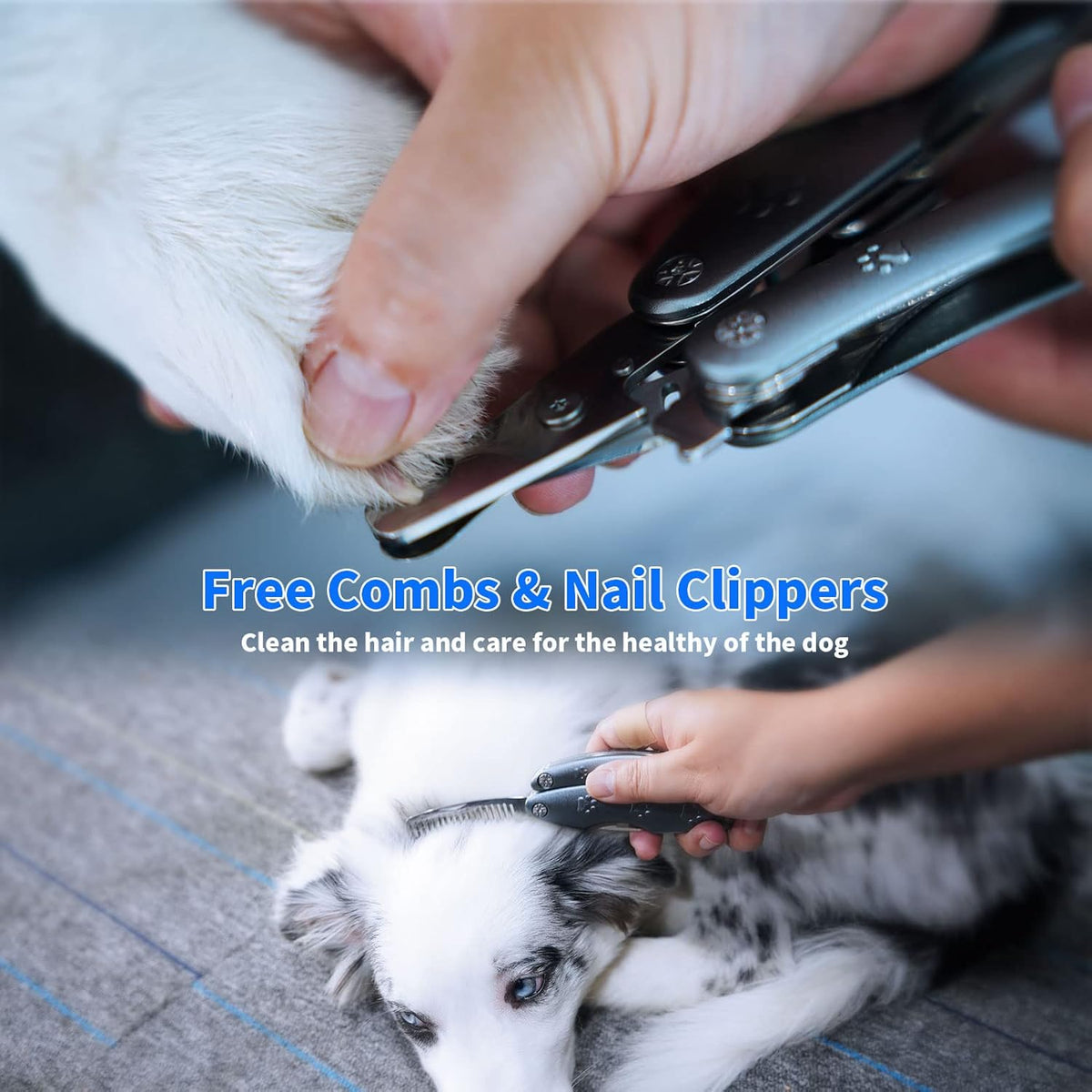 Best Dog Nail Trimmers for Anxiety Sensitive Dogs, Quiet Sharpest Smoothest Nail Clippers for Large Dog Medium Small, Professional Stainless Steel with Nail File & Comb, Left-Handed Friendly