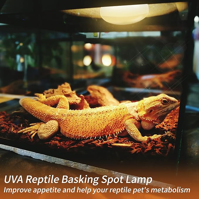 New Upgrade Reptile Heat Lamp Bulb (3rd Gen No Broken), 100W 2 Pack Basking Spot Light for Reptiles & Amphibians,UVA Daylight Heat Bulb for Bearded Dragon, Turtle