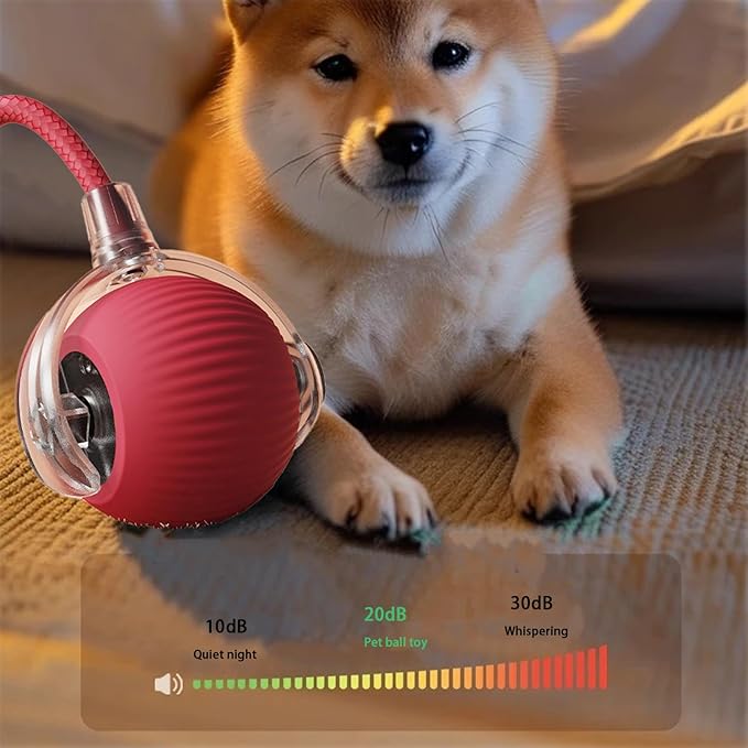 Interactive Cat Toy Ball for Indoor Cats - 3-Speed Smart Rolling Ball with Flashing Lights, USB Rechargeable Automatic Motion Kitten Toys for Bored Adult Cats & Playful Kittens