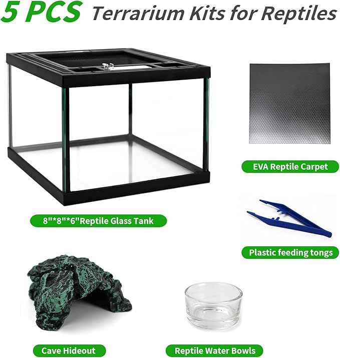 Mini Reptile Glass Tank 8 * 8 * 6inch Terrarium for Start with Top Ventilation for Turtle,Spider,Hermit Crab,Geock,Frog AMD Beard Dragon