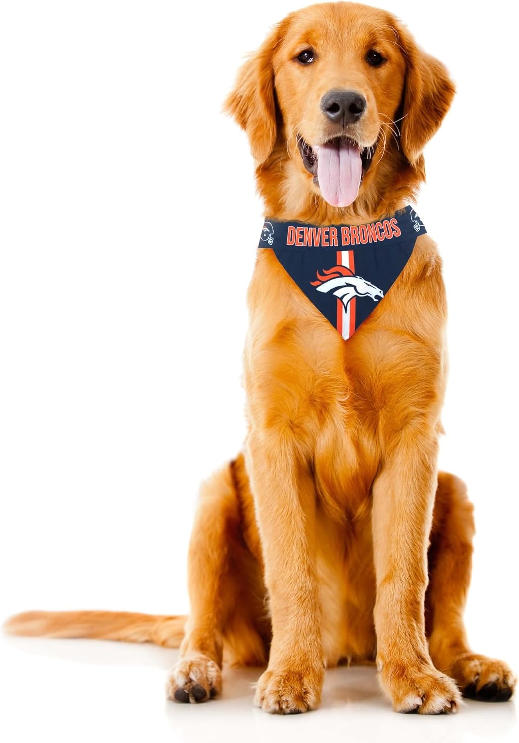 Littlearth NFL Pet Bandana - Reversible