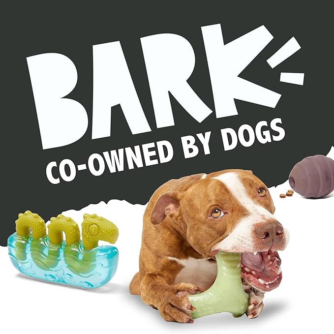Barkbox Piper Parrot Dog Toy for Small Dogs, Perfect for Flipping Fun and Tearable Outer Layer with Bonus Toy Inside for Extra Playtime Excitement
