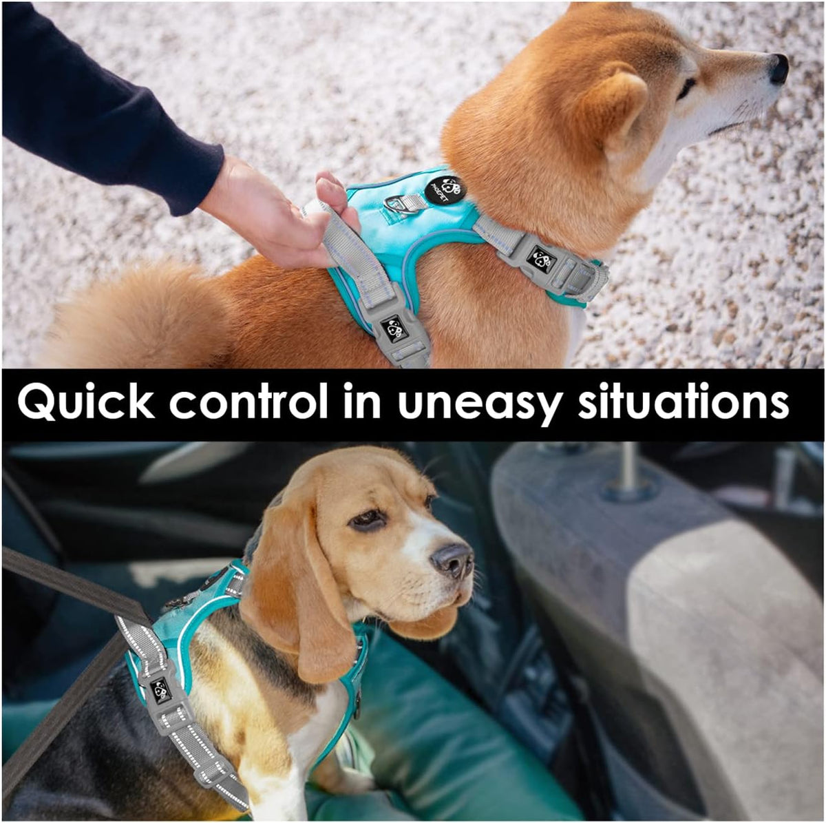 PHOEPET No Pull Dog Harness, Unique Colors Reflective Adjustable Dog Vest, with Soft Training Handle Metal Clips for Small Medium Large Dogs (Mint Green Base & Grey Straps,M)