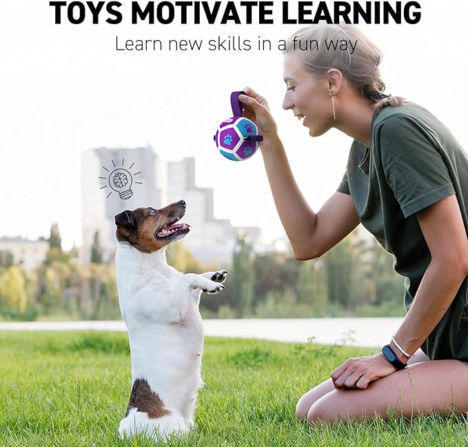 QDAN Small Dog Toys, Puppy Balls, Dog Balls with Straps for Small Breed, Soccer Ball for Dogs, Puppy Toys, Dog Birthday Gift (Purple Blue, 3.5 inch)
