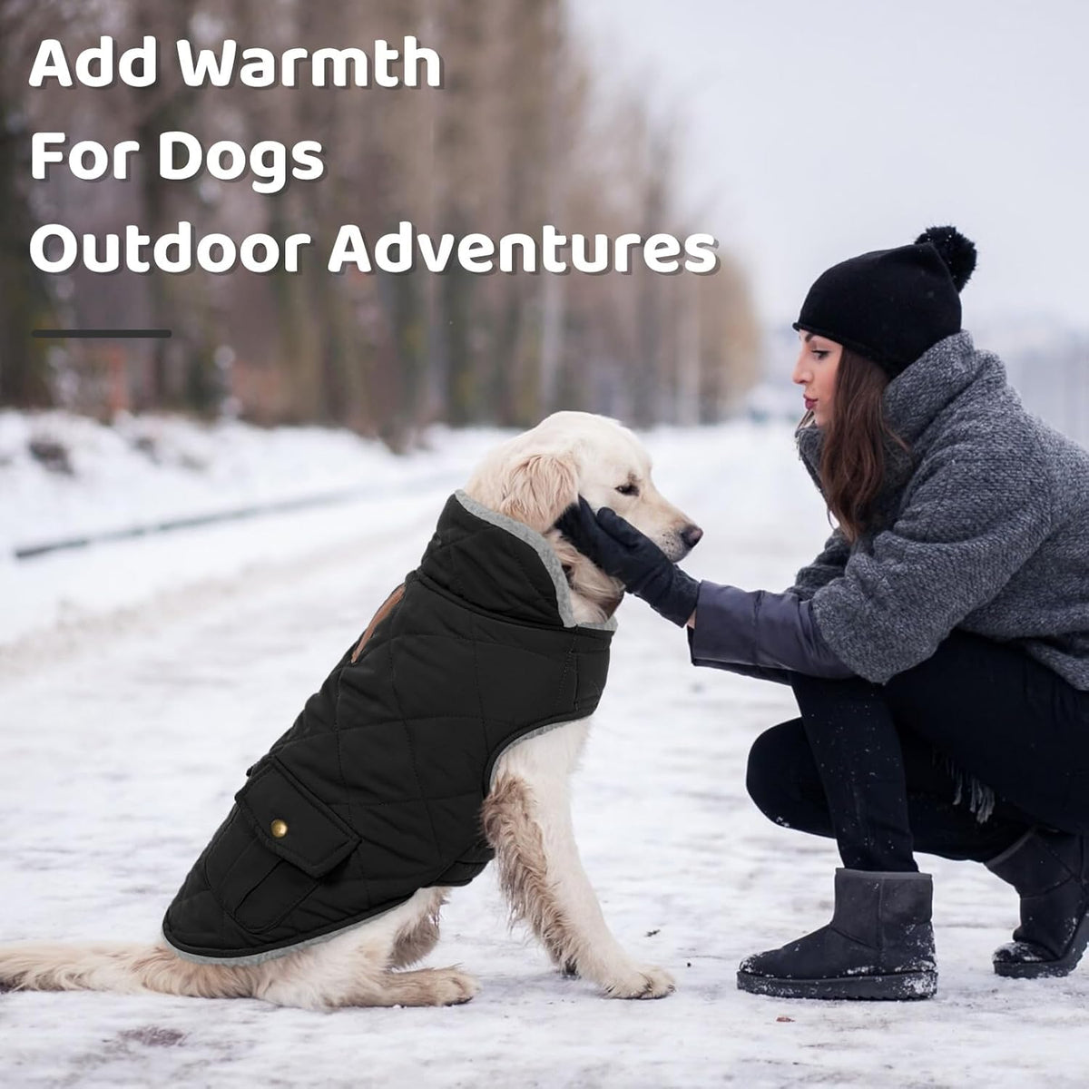 Queenmore Dog Winter Coat Warm Puffer Jacket Waterproof Plush Lining Thermal Cold Weather Vest for Small Medium Large Dogs, Windproof Easy On Pet Jacket Black XS