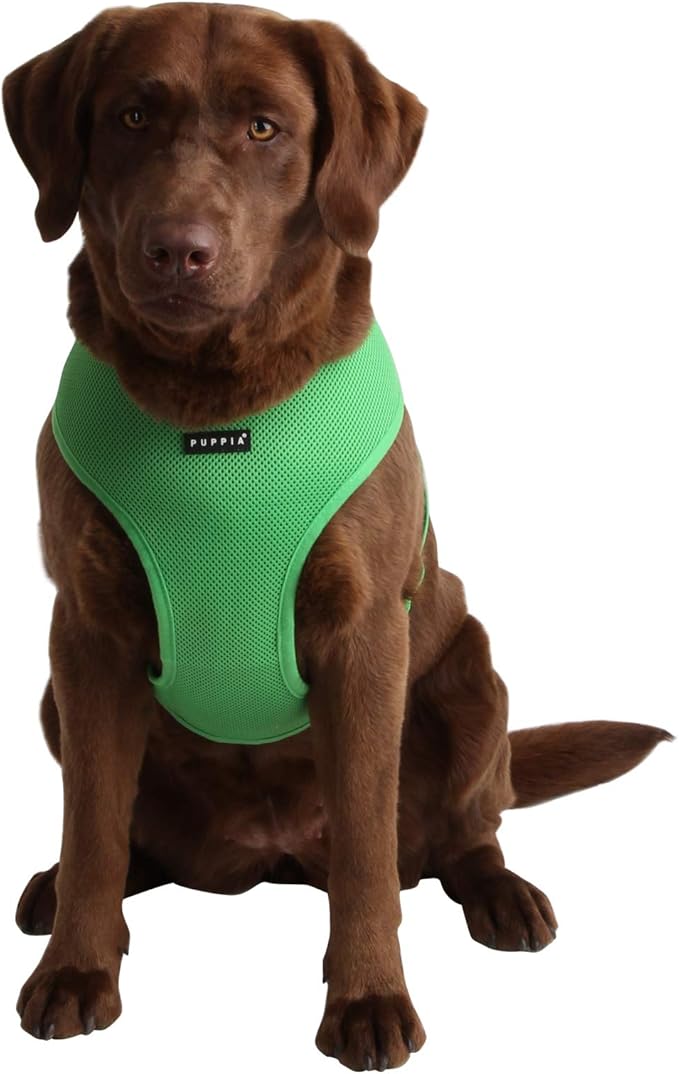 Puppia Soft Dog Harness No Choke Over-The-Head Triple Layered Breathable Mesh Adjustable Chest Belt and Quick-Release Buckle, Green, X-Small