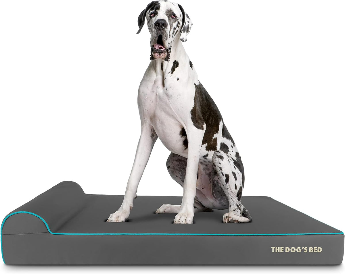 The Dog’s Bed Orthopedic Headrest Dog Bed XXL Grey/Blue 54x36, Memory Foam, Pain Relief for Arthritis, Hip & Elbow Dysplasia, Post Surgery, Lameness, Veterinary Approved, Waterproof Washable Cover