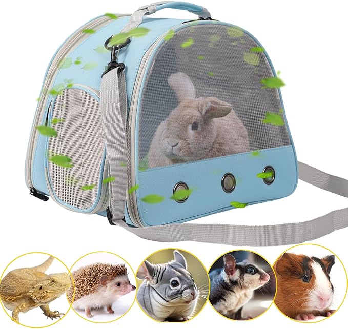 Ventilation Carrier for Bearded Dragons, Guinea Pigs, Reptiles & Small Pets - Airline Approved Mesh Carrier (Blue)