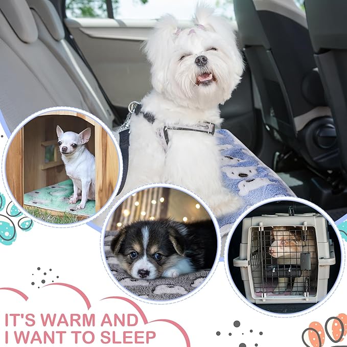 4 Pcs Waterproof Guinea Pig Blankets Washable Small Animal Fleece Bedding Absorbent Guinea Pig Cage Liners Reusable Pet Pee Pad Sleep Mat Pad Cover for Hamster Ferret (Bear Pattern,24 x 16 Inch)