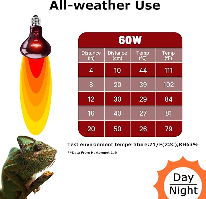 60W Infrared Red Heat Lamp – Perfect Basking Spot Bulb for Lizards, Bearded Dragons, Snakes & Chickens; Efficient Red Heat Emitter for Brooders and Terrariums, E26 Base | 2 Pack