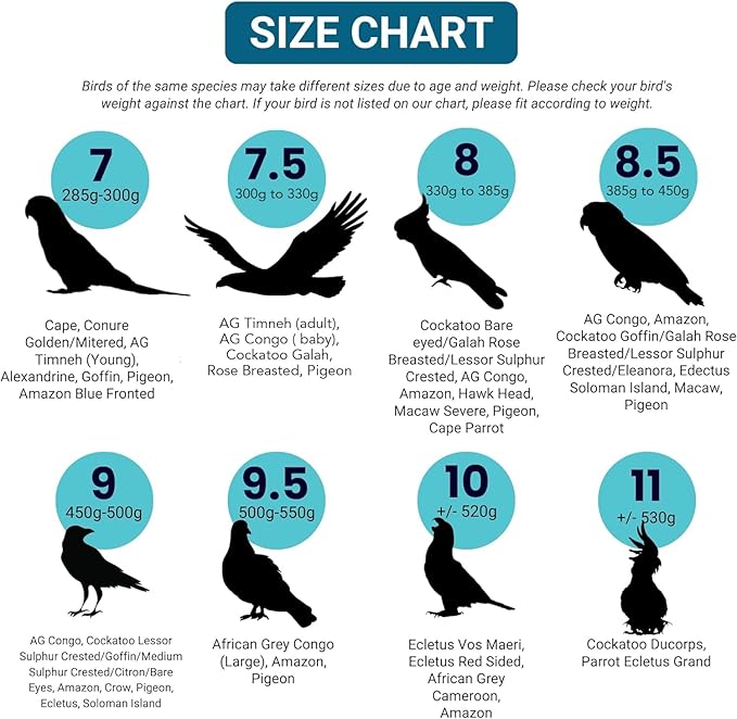 Bev's Bird Boutique Regular Flyper Adjustable Bird Diaper | Reusable, Washable Cloth | Comfort Fit for Parrot, Cockatiels, & Other Small Birds | Fashionable Avian Accessories, Dungaree Jeans, Size 9