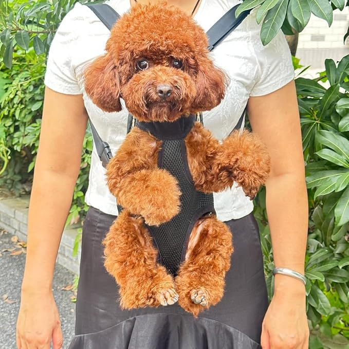 Pet Dog Carrier Backpack, Portable Breathable Mesh Chest Carrier, Polyester Woven Double Shoulder Pet Bag for Outdoor Adventures (Black, Small)