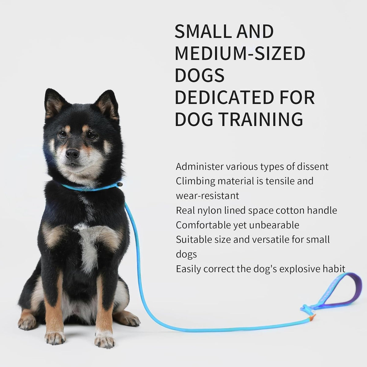 Dog Anti-Slip Leash 5FT with Metal Stopper - Durable No-Pull Training Lead for Small, Medium & Large Dogs - Comfortable Handle Nylon Rope, Tangle-Free Pet Walking Leash (Lake Blue, 5.6FT)