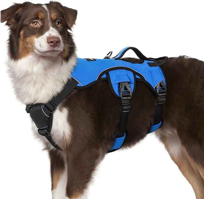 rabbitgoo Escape Proof Dog Harness, Soft Padded Full Body Pet Harness, Reflective Adjustable No Pull Vest with Lift Handle and Leash Clip for Large Dogs Walking Hiking Training, M, Blue