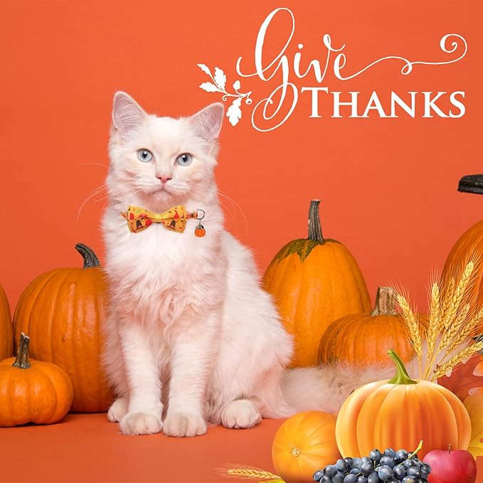 SCENEREAL Fall Thanksgiving Cat Collar Breakaway with Bell, Bowtie and Safety Buckle, 2 Pack Adjustable Cute Holiday Kitten Collars with Turkey & Pumpkin Pattern for Girl Boy, Orange