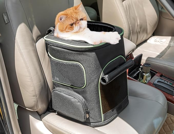 PETSFIT Dog Backpack Carrier with Upgraded Waist Protection Design, Cat Backpacks for Carrying Cats/Dogs/Puppies Up to 22 Pounds. Designed for Hiking Camping Traveling,Black