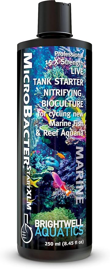 Brightwell Aquatics MicroBacter Start XLM - Concentrated Saltwater Nitrifying Bacteria - Quick Start Fish Tank Starter, Lift Microbe Levels & Water Filtering - Marine Aquarium Treatments, 8.45 fl oz