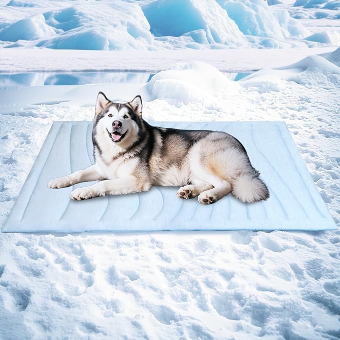 BECEMURU Dog Cooling Mat - 60" x 40" Thickening Cooling Pad Blanket for Crate, Kennel, Bed, Sofa - Machine Washable, Durable, Non-Gel - Keep Your Pet Cool and Comfortable