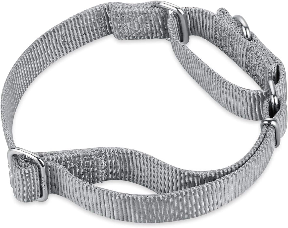 Hyhug Pets Premium Upgraded Heavy Duty Nylon Anti-Escape Martingale Collar for Large Boy and Girl Dogs Comfy and Safe - Professional Training, Daily Use Walking. (Large, Sleet Gray)