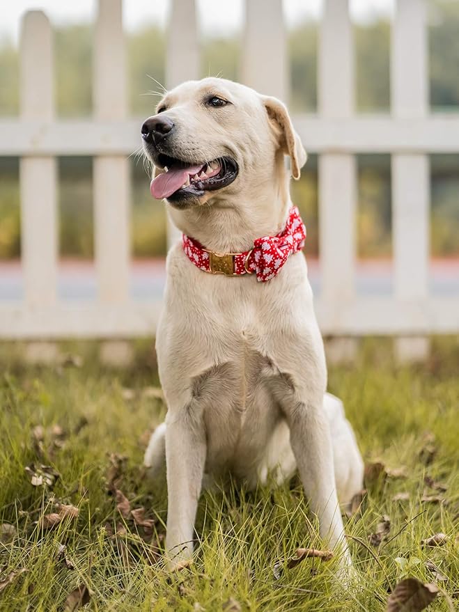 Elegant little tail Dog Collar with Bow, Cotton & Webbing, Bowtie Dog Collar, Adjustable Dog Collars for Small Medium Large Dogs and Cats