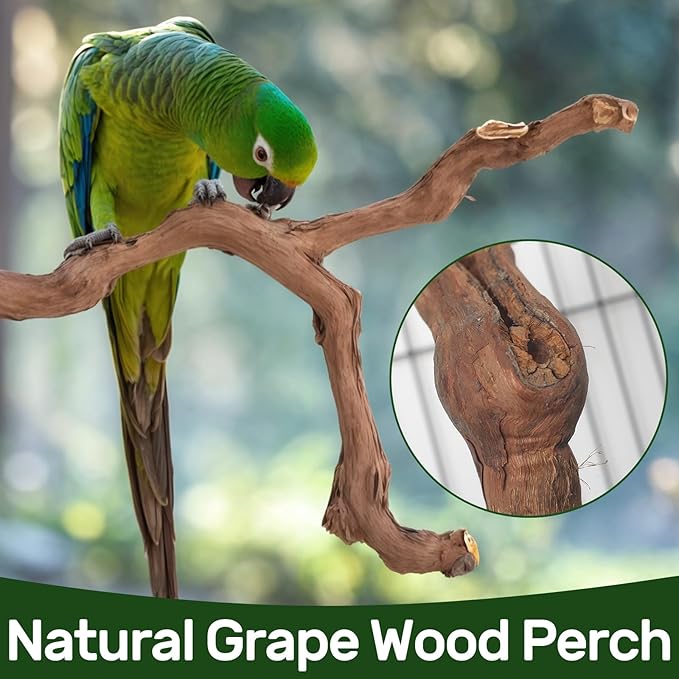 4-Piece Bird Perch Set with Rotating Ball Stand - Natural Wood Bird Gym & Playground for Parrots, Cockatiels, Budgies
