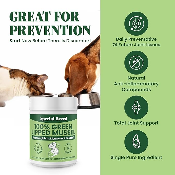 Special Breed Green Lipped Mussel Powder for Dogs & Cats - 100% New Zealand Green Lipped Mussels - Natural Hip & Joint Supplement for Joints, Tendons, Ligaments, Muscles - 400 Grams - 1,333 Servings