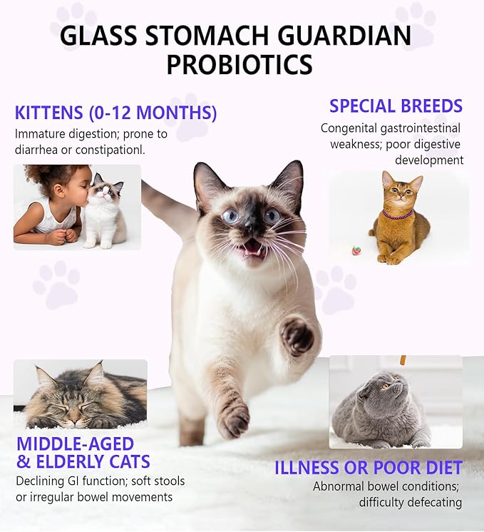 Cat Constipation Relief, Constipation Relief for Cat, Cat Laxative Constipation Relief, 100% Natural Cat Laxative with Probiotics Cat Stool Softener, Promotes Digestive Health - 2 fl oz