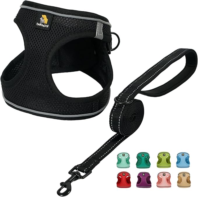 BELLA & PAL Step in Vest Harness for Small and Medium Dogs, No Pull Small Dog Harness with Leash Set, Comfortable Air Mesh Dog Vest Harness with Reflective Strip (Deep Black, XS)