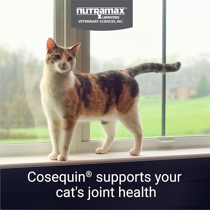 Nutramax Cosequin for Cats Joint Health Supplement, Contains Glucosamine for Cats, Plus Chondroitin and Boswellia, Supports Healthy Joints, For All Breeds and Sizes, Sprinkle Capsules, 60 Count