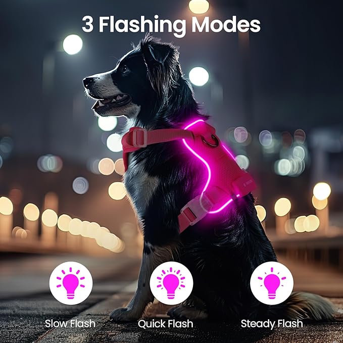 Light Up Dog Harness,Reflective Pet Harness Rechargeable,Led Dog Vest Harness for Night Walking,Adjustable Dog Safety Vest for Small Medium Large Dogs-No Pull,Pink,S