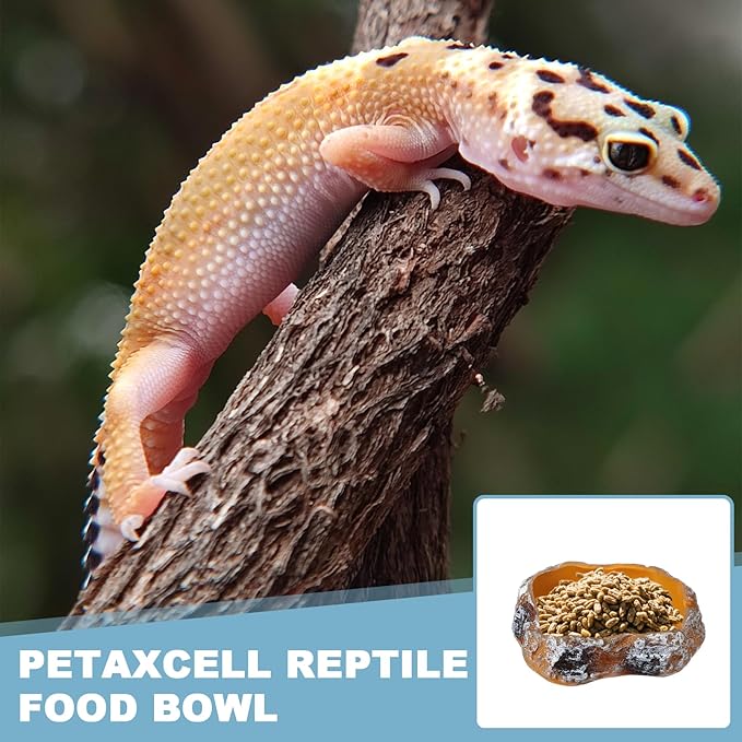 Reptile Food Bowl, Reptile Feeding Dish Corner Bowl Water Resin Rock Worm Feeder Dish S (5.1 in, Orange), Intended for Lizards/o/Scaled Pet/Leopard o/Spiders