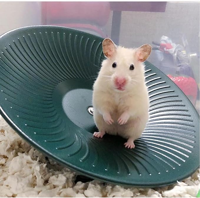 Treadmill Wheel 14" Black - All Metal Exercise Wheel for Chinchillas, Prairie Dogs, Rats, Hedgehogs, Sugar Gliders, Squirrels, Degus, Hamsters & Other Small Animals - Smooth, Fast, Silent, Durable