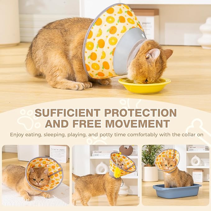 Avont Cat Cone Collar Soft to Stop Licking, Adjustable Foldable Lightweight Kitten Recovery Collar After Surgery for Small Dogs, Elizabeth Cone of Shame Alternative -Orange(L)