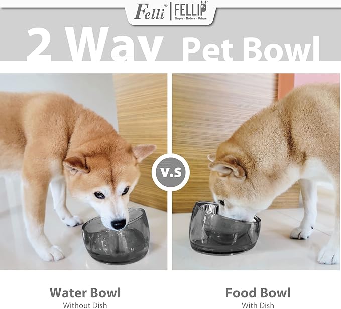 Felli Pet Oblik Spill Proof Dog Food Water Bowl Raised Acrylic Cone, Stainless Steel Tilted Oval Dish Pet Friendly, Slanted Metal Plate Feeder Elevated for Small Medium Size Dog (1.5Cup, Smoky)
