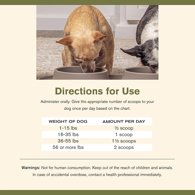 Super Gut Biotics Canine Digestive Supplement,Probiotics, Prebiotics, Supports Healthy Digestion, Immune System Function and Gut Flora by Katherine Heigl (30 Scoops)