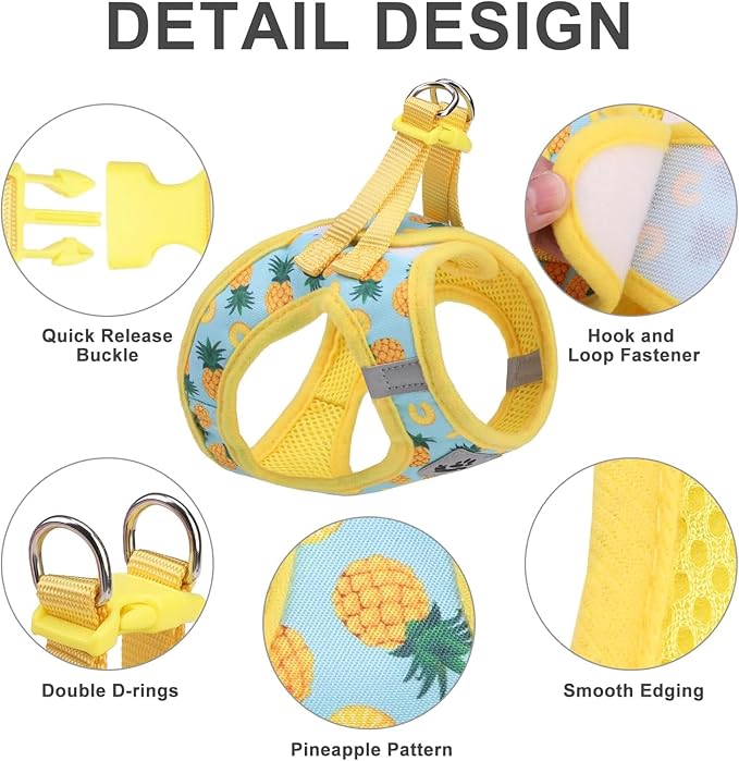 EXPAWLORER Small Dog Harness and Leash Set - Cute Puppy Harness Leash Dog Collar with AirTag Holder Silicone Case, Soft Padded Step in Pet Vest Reflective for Outdoor Walking, Pineapple XXS