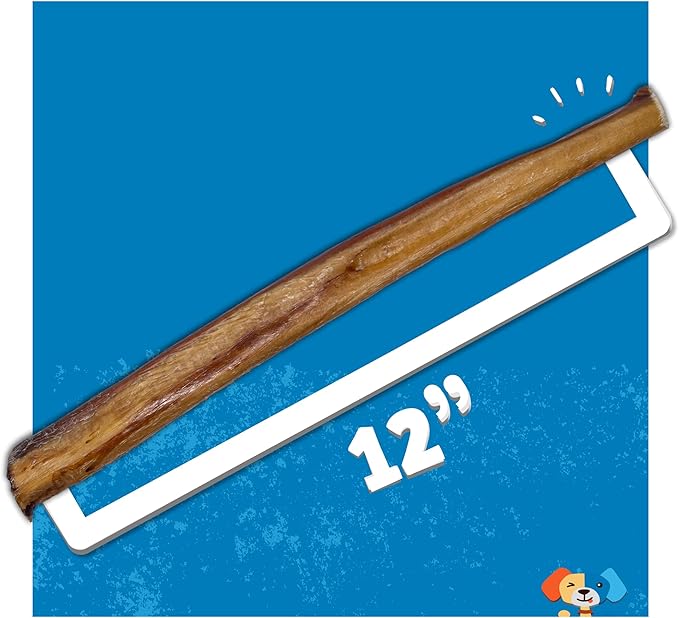 Jack&Pup 12 Inch Bully Sticks for Large Dogs (3 Pack) Jumbo Dog Chews for Aggressive Chewers | All Natural, Odor Free Bully Sticks for Dogs