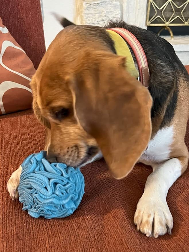 Puppy and Small Breed Snuffle Interactive Foraging Dog Puzzle Ball Toy Blue