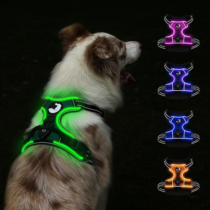 Taglory Light Up Dog Harness, Rechargeable No Pull Dog Vest with 3 Lightning Modes, Reflective Dog Harness with 2 Leash Clips & 4 Adjustable Slide Strips for Large Dogs, Turquoise-Green, L