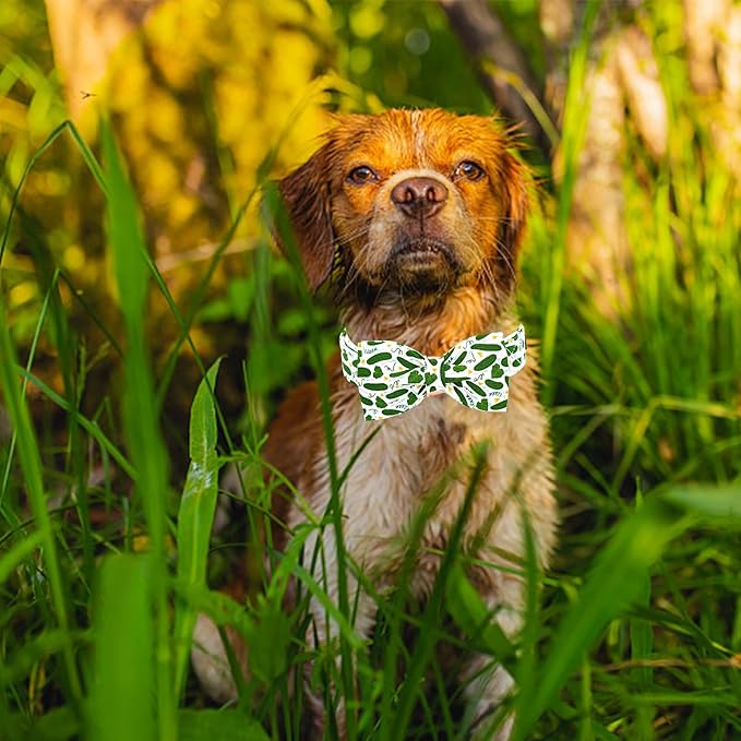 Lionheart glory Dog Bow Collar Cucumbers Print Dog Collar for X-Small Dogs,Female Male Dog Collars with Bowtie Spring Summer Collars Soft Adjustable Pet Collar Bows