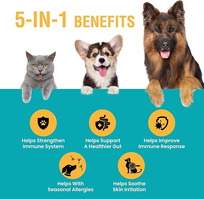 Special Breed Allergy & Immune with Elderberry, Allergy Relief for Cats and Dogs, Anti Itch Treatment, Relief for Pet Allergies, Immune Support for Cat or Dog, 2 oz