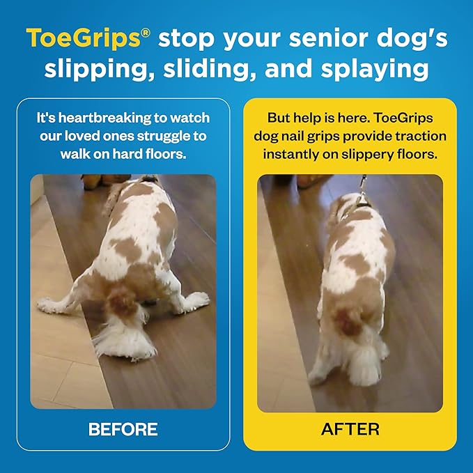 Dr Buzby's Large ToeGrips for Dogs - Instant Traction on Wood/Hardwood Floors - Anti Slip Relief - Grippers for Senior Dogs - Stop Sliding Instantly - Rubber Nails for Paws - 1 Pack (20 Grips)