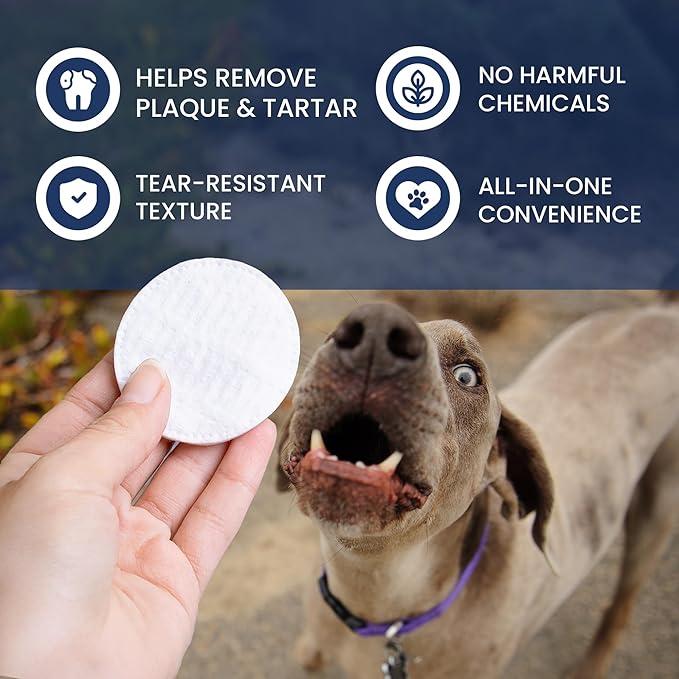 Rad Health Dog Dental Wipes - 100ct Pet Dental Finger Wipes, Easy No-Brush Teeth Cleaning, Removes Plaque & Tartar, Boosts Oral Hygiene, Freshens Breath, Gentle on Mouth, Strong on Build-Up
