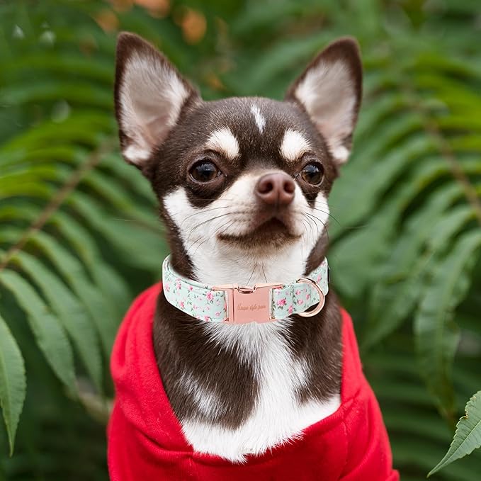 Unique style paws Dog Collar Metal Buckle Green Flowers Collar Gift Durable Cute Collar for Small Medium Large Boys Girls Dogs