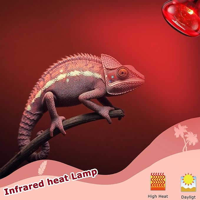 75W Infrared Basking Spot Light Bulbs for Reptiles & Amphibians – Red Heat Lamp for Bearded Dragons, Turtles, Snakes & Chicks, Great for Terrarium Heating & Brooder Warmth | 2 Pack