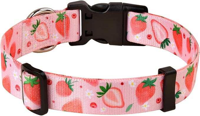 Dog Collar with Bohemia Floral Tribal Geometric Patterns - Soft Ethnic Style Collar Adjustable for Small Medium Large Dogs(Strawberry,XS)