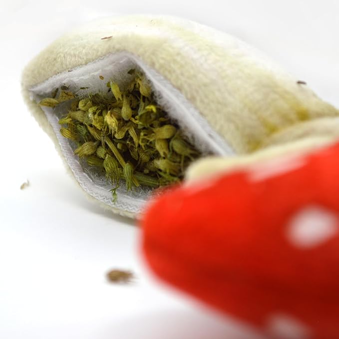 Meowijuana Refillable Cat Toys | Get Sprung - Ladybug and Mushroom Catnip Toys | Includes Potent Hand Harvested Catnip Grown in North America | Promotes Play and Cat Health